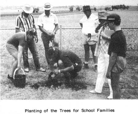 tree_planting